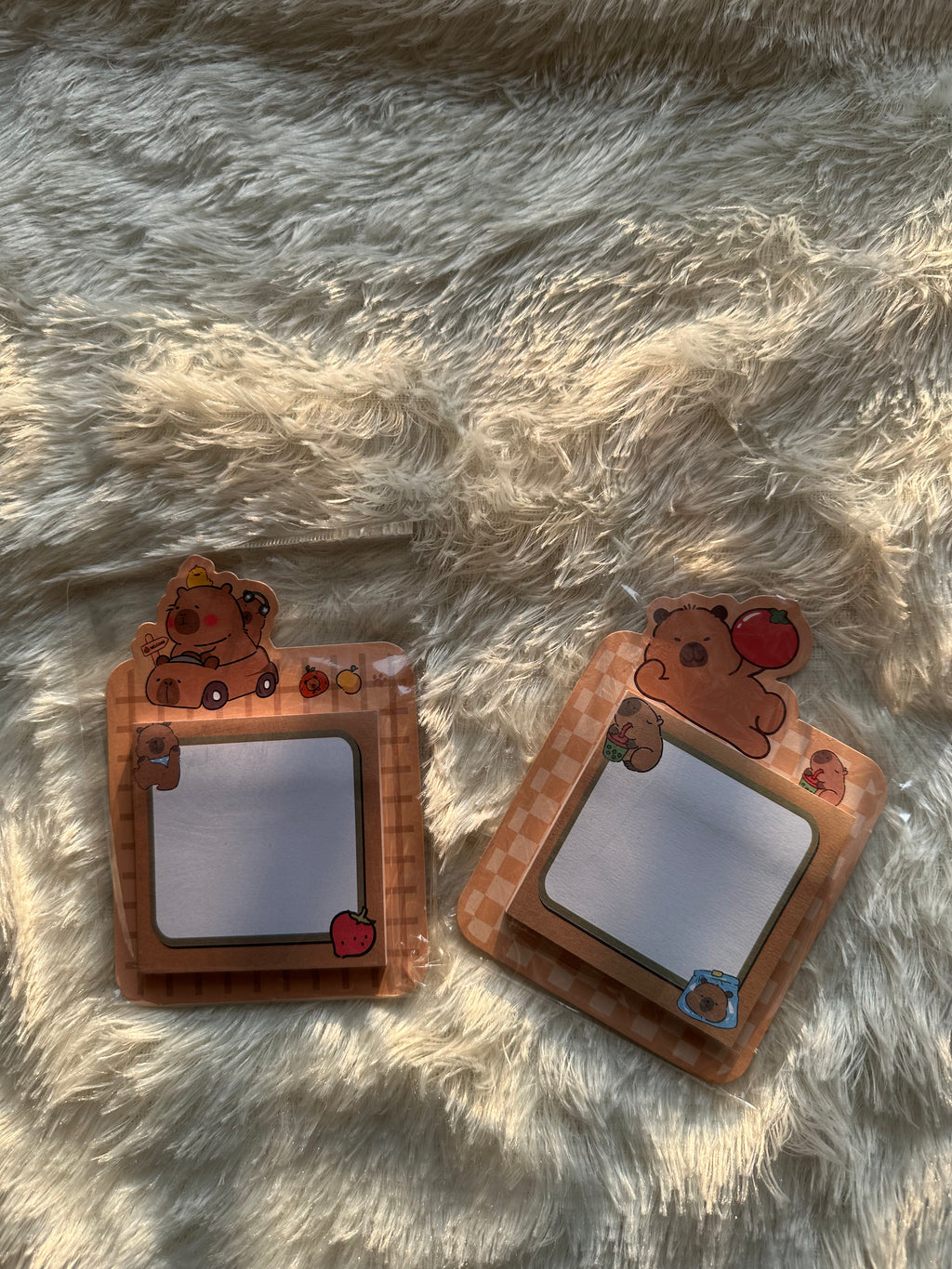 Cute Sticky Notes
